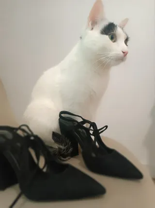 Zapatos de salón Zara Basic negros