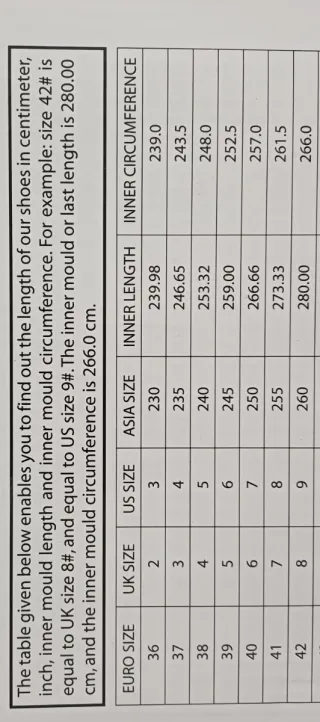 Botas De Seguridad Safetoe Puntera De Acero 42