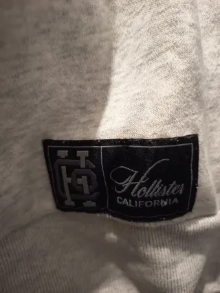 Sudadera Hollister
