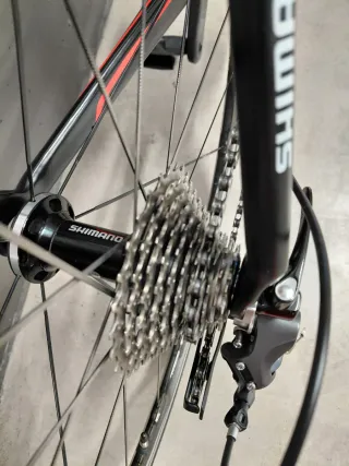 Bicicleta de carretera MACARIO Carbono