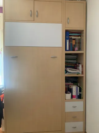 Habitación juvenil cama abatible