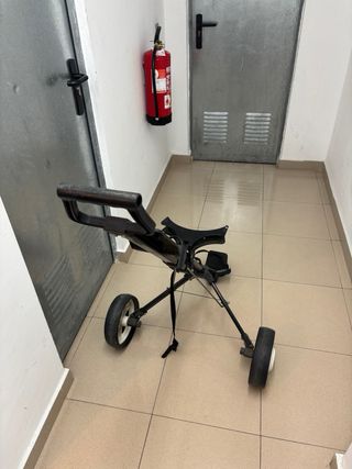 Bolsa y palos de golf