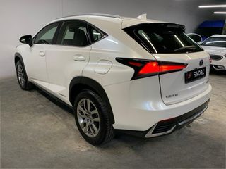 Lexus NX 2019