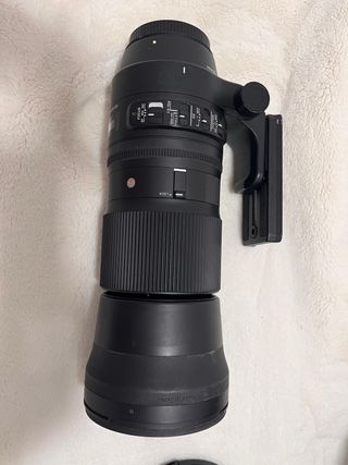 Sigma 150-600mm F5-6.3 DG OS HSM Contemporáneo