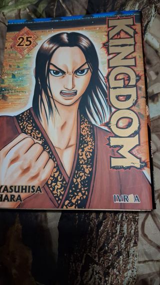 Coleccion de 35 libros de kimdom