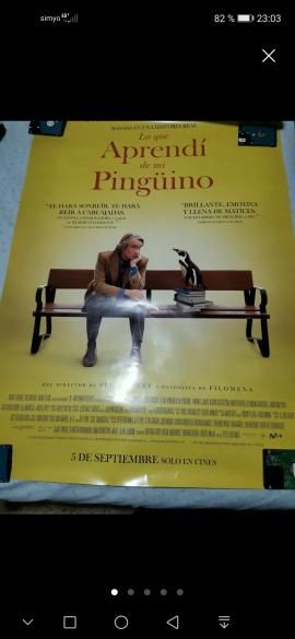 Lote 27 Posters Películas 2025