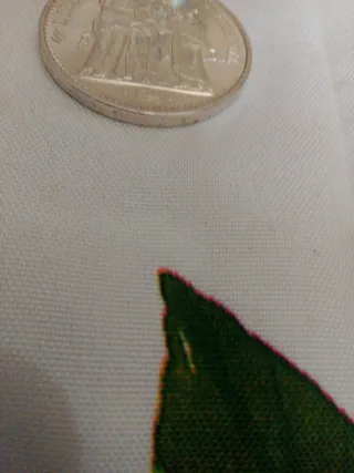 10 Franchi Argento Francia 1965