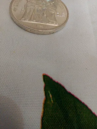 10 Franchi Argento Francia 1965