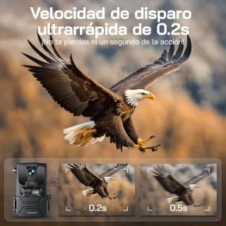 Cámara de Caza WOLFANG Solar 4G LTE