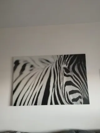 Cuadro Cebra Blanco y Negro