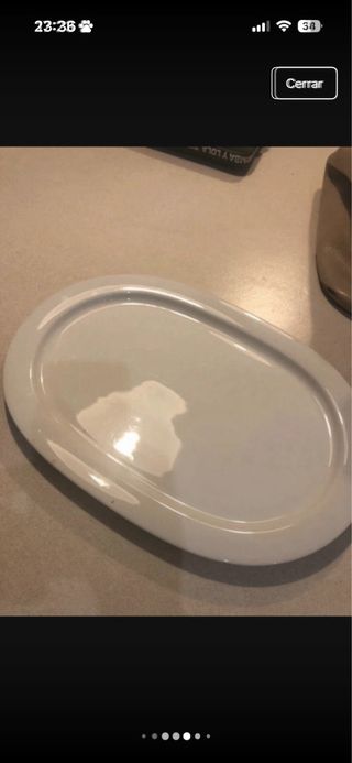 2 Bandejas Porcelana Irabia