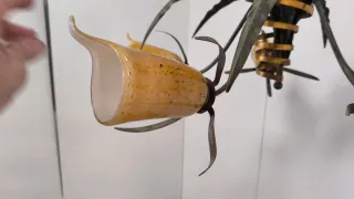 LAMPARA TECHO FORJA CON TULIPAS