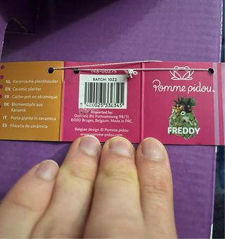 Pomme Pidou Freddy Vaso Ceramica