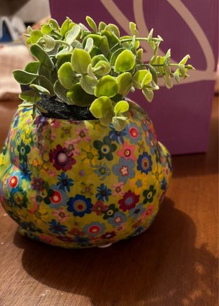 Pomme Pidou Freddy Vaso Ceramica