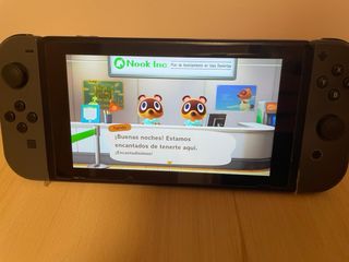 Animal Crossing New Horizons Nintendo Switch