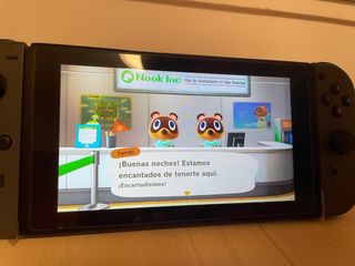 Animal Crossing New Horizons Nintendo Switch