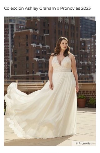Vestido de Novia Pronovias Boho