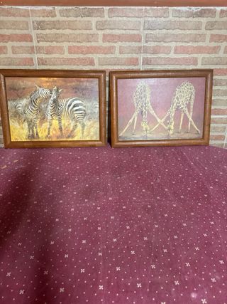Cuadros de cebras y jirafas decorativos