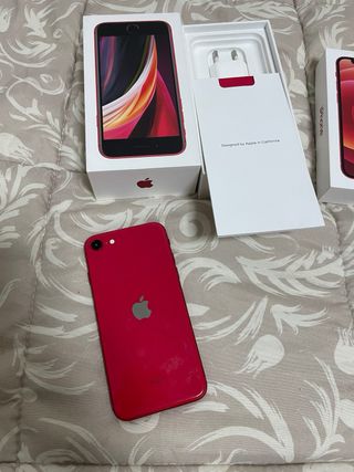 iPhone 12 mini e SE 2020 Rosso