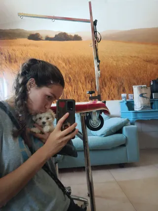 Paseo perros/cuidado de mascotas