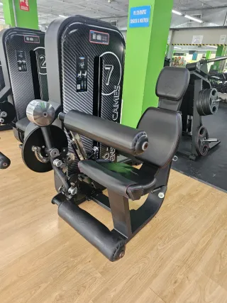 Máquinas de gimnasio Salter Fitness Essence