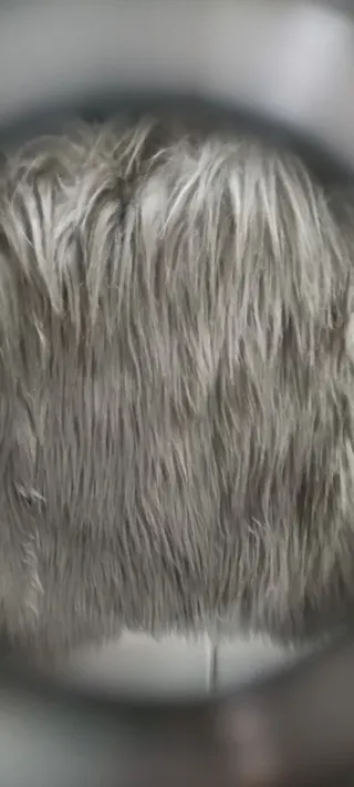 Pelliccetta donna grigia taglia S foderata in raso