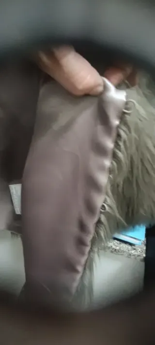 Pelliccetta donna grigia taglia S foderata in raso