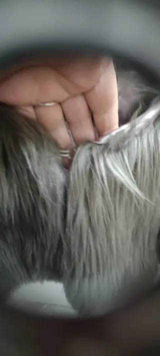 Pelliccetta donna grigia taglia S foderata in raso