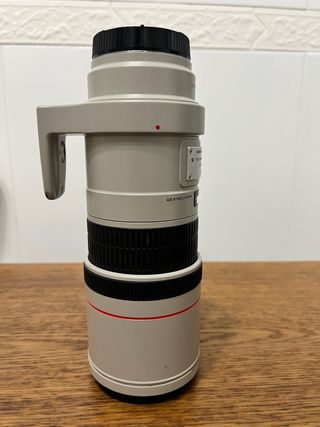 Canon EF 300mm f/4L IS USM Teleobjetivo profesiona