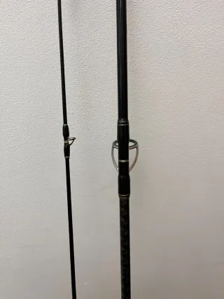 Caña Spinning/Shore Jigging Triple Cross