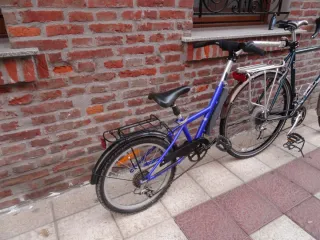 Remolque - tandem bicicleta para niños 4-7 años