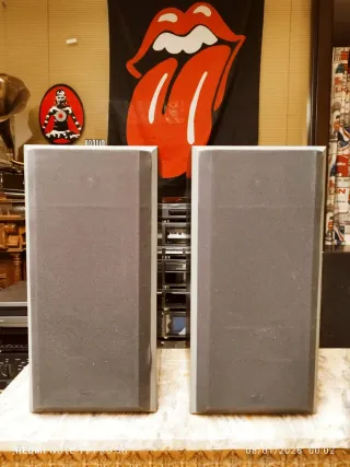 Bowers & Wilkins DM-560