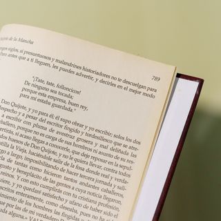 NUEVO Don Quijote de la Mancha ilustrado por Dore