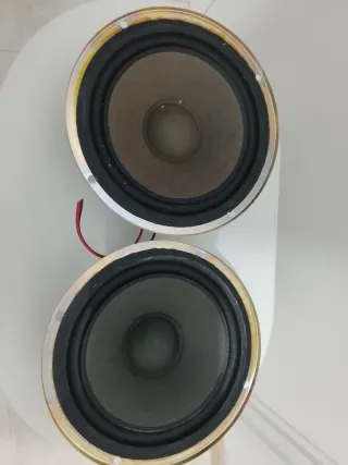 Altavoces Sony T-8110-476-1 IMP 6 ohm (2 unidades)