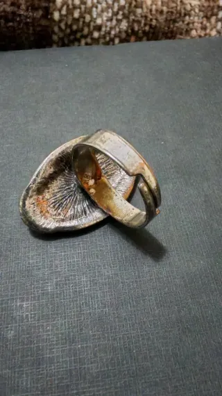 Anillo Plata 925 con Piedra Roja Ovalada. 11gr