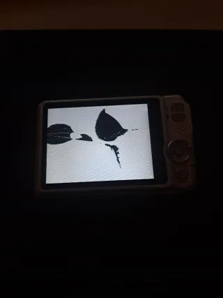 Cámara Digital Plata