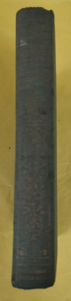 Novela UN LUGAR DE HONOR de Mary Verdick