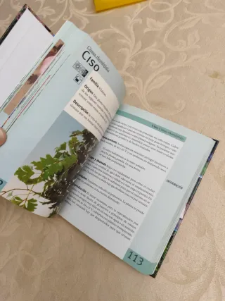 Guía Práctica Plantas Interior y Balcón