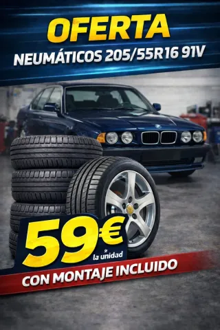 Neumático 205/55R16 91V