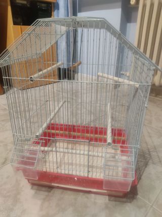 Jaula pájaros