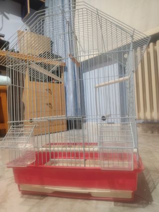 Jaula pájaros