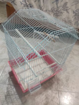 Jaula pájaros