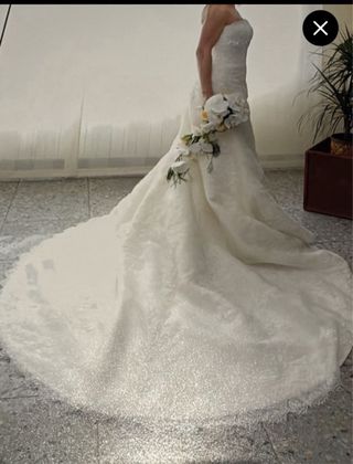 Vestido de Novia Blanco con Cola