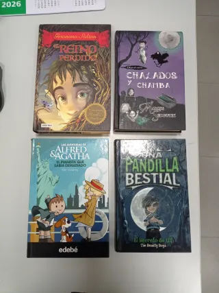 Lote libros juveniles