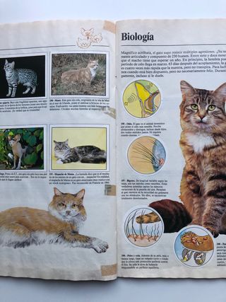 Álbum Panini Animales Domésticos Completo