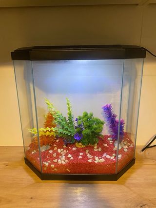 Acuario hexagonal para peces