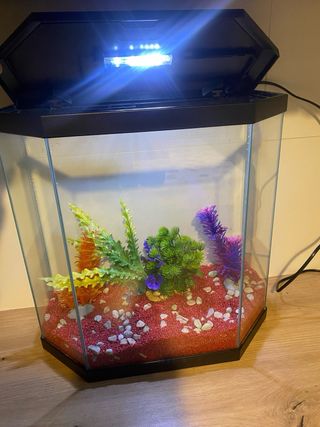 Acuario hexagonal para peces