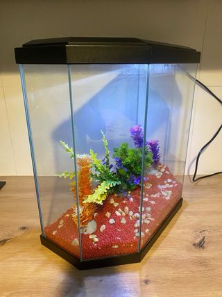 Acuario hexagonal para peces