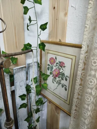 Pareja de cuadros de flores de Redoute