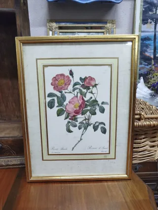 Pareja de cuadros de flores de Redoute